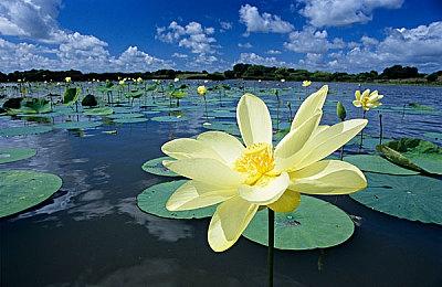 传闻：《火影忍者：究极忍者风暴5》正在开发中 年底公布